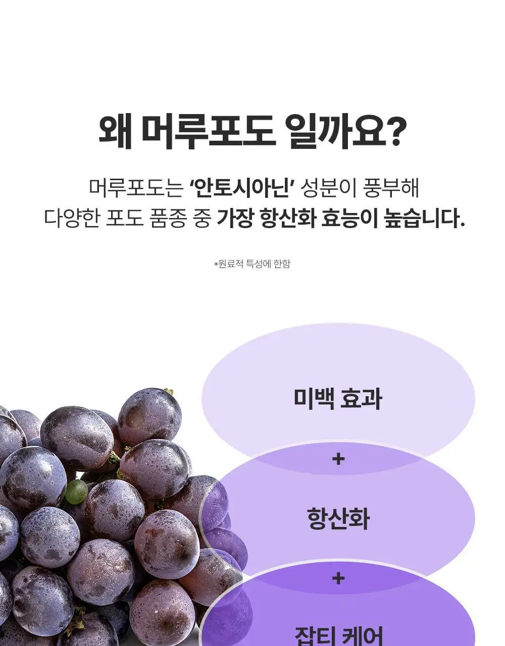 [잡티미백케어] 성분에디터 머루포도 비타 C 잡티크림 50g 상세페이지 62